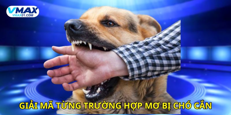 Giải mã từng trường hợp mơ bị chó cắn